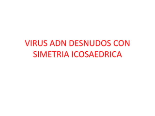 VIRUS ADN DESNUDOS CON
SIMETRIA ICOSAEDRICA

 