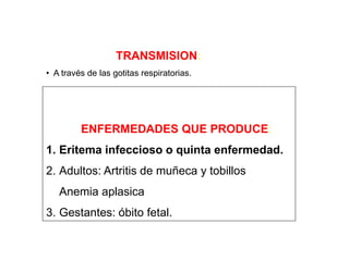 TRANSMISION:
• A través de las gotitas respiratorias.

ENFERMEDADES QUE PRODUCE:

1. Eritema infeccioso o quinta enfermedad.
2. Adultos: Artritis de muñeca y tobillos
Anemia aplasica
3. Gestantes: óbito fetal.

 