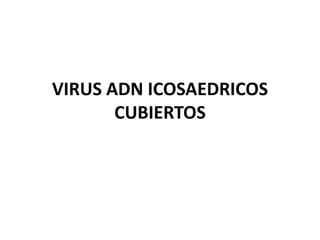 VIRUS ADN ICOSAEDRICOS
CUBIERTOS

 