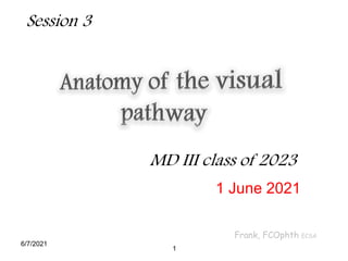 Visual Pathways Anatomy of human eye and anatomy.pdf