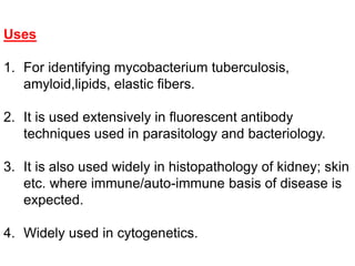 Uses
1. For identifying mycobacterium tuberculosis,
amyloid,lipids, elastic fibers.
2. It is used extensively in fluorescent antibody
techniques used in parasitology and bacteriology.
3. It is also used widely in histopathology of kidney; skin
etc. where immune/auto-immune basis of disease is
expected.
4. Widely used in cytogenetics.
 