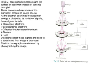 In SEM, accelerated electrons scans the
surface of specimen instead of passing
through it.
These accelerated electrons carries
significant amount of kinetic energy.
As the electron beam hits the specimen
energy is dissipated as variety of signals,
these signals include:
 Secondary electrons
Backscattered electrons
Diffracted-backscattered electrons
Photons
Heat
Detectors collect these signals and send to
a screen and final image is produced.
Electron micrographs are obtained by
photographing the image.
 
