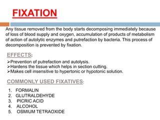 FIXATION
Any tissue removed from the body starts decomposing immediately because
of loss of blood supply and oxygen, accumulation of products of metabolism
of action of autolytic enzymes and putrefaction by bacteria. This process of
decomposition is prevented by fixation.
Prevention of putrefaction and autolysis.
Hardens the tissue which helps in section cutting.
Makes cell insensitive to hypertonic or hypotonic solution.
EFFECTS:
1. FORMALIN
2. GLUTRALDEHYDE
3. PICRIC ACID
4. ALCOHOL
5. OSMIUM TETRAOXIDE
COMMONLY USED FIXATIVES:
 