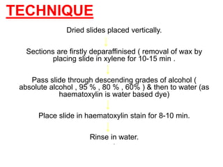 Dried slides placed vertically.
Sections are firstly deparaffinised ( removal of wax by
placing slide in xylene for 10-15 min .
Pass slide through descending grades of alcohol (
absolute alcohol , 95 % , 80 % , 60% ) & then to water (as
haematoxylin is water based dye)
Place slide in haematoxylin stain for 8-10 min.
Rinse in water.
.
TECHNIQUE
 