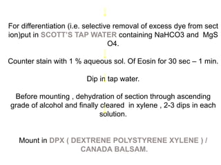 For differentiation (i.e. selective removal of excess dye from sect
ion)put in SCOTT’S TAP WATER containing NaHCO3 and MgS
O4.
Counter stain with 1 % aqueous sol. Of Eosin for 30 sec – 1 min.
Dip in tap water.
Before mounting , dehydration of section through ascending
grade of alcohol and finally cleared in xylene , 2-3 dips in each
solution.
Mount in DPX ( DEXTRENE POLYSTYRENE XYLENE ) /
CANADA BALSAM.
 