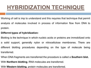 HYBRIDIZATION TECHNIQUE
Working of cell is imp to understand and this requires that technique that permit
analysis of molecules involved in process of information flow from DNA to
protein.
Differrnt types of hybridization:
Blotting is the technique in which nucleic acids or proteins are immobilized onto
a solid support, generally nylon or nitrocellulose membranes. There are
different blotting procedures depending on the type of molecule being
transferred.
When DNA fragments are transferred the procedure is called a Southern blot.
With Northern blotting, RNA molecules are transferred.
With Western blotting, protein molecules are transferred.
 
