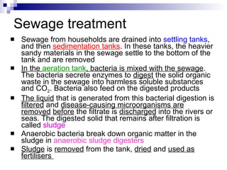 Chapter 22 Our Impact on the Ecosystem Lesson 3 water pollution ...