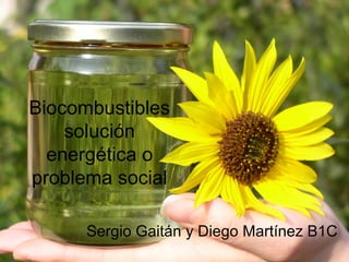 Biocombustibles
solución
energética o
problema social
Sergio Gaitán y Diego Martínez B1C
 