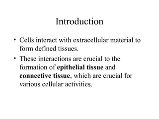 Comprehensive Overview of Cell Junctions and Extracellular Matrix in ...