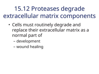 Comprehensive Overview of Cell Junctions and Extracellular Matrix in ...