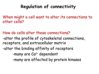 Comprehensive Overview of Cell Junctions and Extracellular Matrix in ...