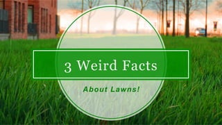 3 Weird Facts
About Lawns!
 