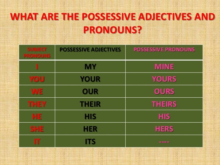 3 Whose Possessive Pronouns