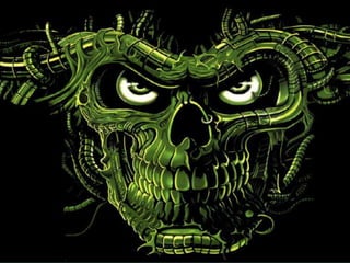 Business Driven PMO Setup