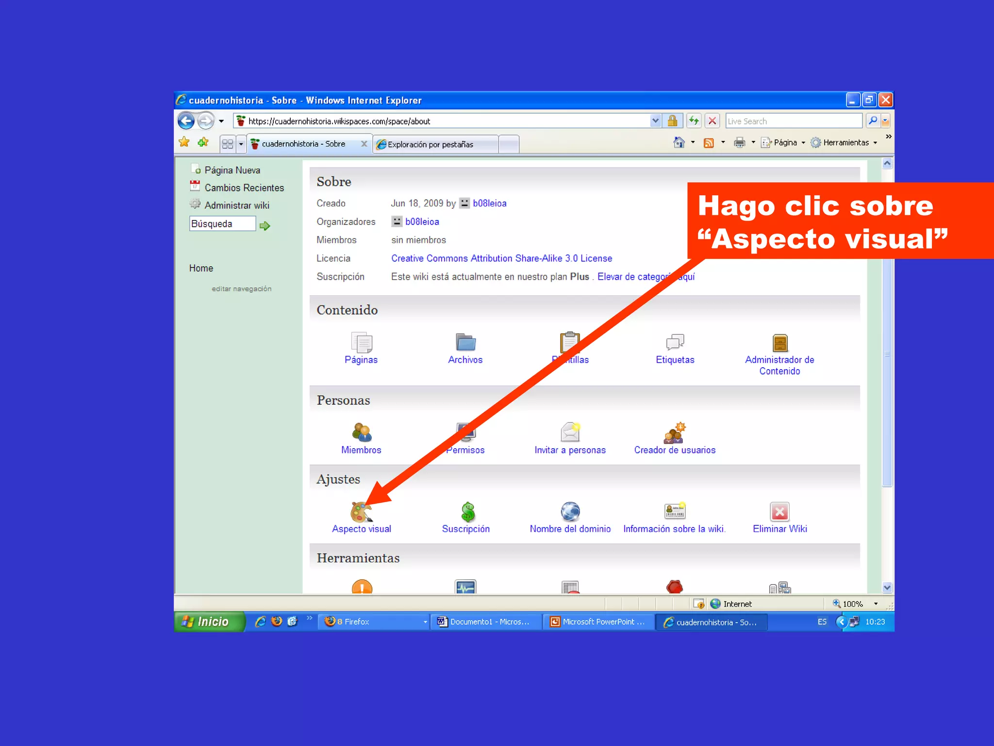Hago clic sobre “Aspecto visual” 