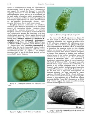 2-6-12 Chapter 2-6: Protozoa Ecology
relative to 750,000 species of insects and 280,000 species
of other animals (Papke & Ward 2004). Morphological
data support the concept that dispersal is worldwide,
suggesting there would be fewer than 5000 morphological
protozoan species. Could this also be the explanation for
the small number of bryophytes relative to other plants? In
both cases, molecular evidence is starting to suggest that
there may be cryptic species with genetic differences that
are not expressed morphologically (Logares 2006),
revealing distributions that are much more restricted.
Bryophyte protozoan communities are remarkably
similar no matter where the bryophytes occur and consist
primarily of cosmopolitan species. Davidova (2008)
compared the testacean communities of epiphytic
bryophytes to those of soil bryophytes in Strandzha Natural
Park, South-Eastern Bulgaria, and found them to be quite
similar in their taxonomic richness, species diversity, and
community structure. The most common taxa in both
habitats were Centropyxis aerophila var. sphagnicola, C.
aerophila (Figure 40), Phryganella hemisphaerica,
Euglypha rotunda (Figure 41), Corythion dubium (Figure
5), Trinema enchelys (Figure 42), and T. lineare (Figure
7). Among these, only Phryganella hemisphaerica is
missing from the sites in Switzerland, Alaska, Sweden,
Finland, Netherlands, Britain, Bulgaria, and North America
as summarized in Table 1 of Chapter 2-2. The epiphytic
community had 34 taxa in 13 genera, whereas the soil
mosses had 31 taxa in 13 genera.
Figure 40. Centropyxis aerophila test. Photo by Yuuji
Tsukii.
Figure 41. Euglypha rotunda. Photo by Yuuji Tsukii.
Figure 42. Trinema enchelys. Photo by Yuuji Tsukii.
The moss-dweller Nebela (Apodera) vas (Figure 43)
has been touted to refute the Baas Becking Principle
(Mitchell & Meisterfeld 2005; Smith & Wilkinson 2007).
In 89 collections, representing 25 publications, mosses
represented 59% of its habitat, with Sphagnum being the
most common (Smith & Wilkinson 2007). Its distribution
is throughout the equatorial region at high altitudes,
southern cool-temperate, and sub-Antarctic zones, but it is
conspicuously absent in the Holarctic northern hemisphere.
Its absence from hundreds of samples from seemingly
suitable habitats in the northern hemisphere support the
contention that its absence is not a fluke of sampling
(Mitchell & Meisterfeld 2005) This distribution is
definitely not cosmopolitan, despite its wide pH range (3.8-
6.5) (Smith & Wilkinson 2007). Although it has a rather
defined climatic range (temperate to sub-Antarctic), its
absence in this climate throughout most of the more
frequently studied northern hemisphere cannot support the
concept of "everything is everywhere." Evidence such as
this has been used to argue that micro-organisms are
dispersed following the same principles as macro-
organisms (BioMed Central 2007). Genetic differences
that are not detectable from morphology suggest that global
diversity of micro-organisms may be greater than has been
suspected (BioMed Central 2007; Fontaneto et al. 2008).
Such evidence suggests that care is needed in assigning
names to microbial/protozoan collections.
Figure 43. SEM view of Apodera (Nebela) vas showing test.
Photo by Edward Mitchell.
 