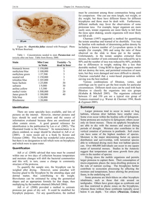 2-6-16 Chapter 2-6: Protozoa Ecology
Figure 46. Oxytrichia fallax stained with Protargol. Photo
y William Bourland.b
Table 1. Concentrations needed to stain Paramecium and
toxicity after one hour. Table from Howey 2000.
Stain Min Conc Toxicity - %
to Stain dead in hour
bismarck brown 1:150,000 0
methylene blue 1:100,000 5
methylene green 1:37,500 5
neutral red 1:150,000 3
toluidine blue 1:105,000 5
basic fuchsin 1:25,000 30
safranin 1:9,000 30
aniline yellow 1:5,500 0
methyl violet 1:500,000 20
Janus green B 1:180,000 40
Nile blue 1:30,000
Rhodamine 1:20,000
Identification
There are some specialty keys available, and lots of
pictures on the internet. However, internet pictures and
keys should be used with caution and the source of
information evaluated because these are unrefereed and
often contain errors. A good general reference for
identification is the publication by Lee et al. (2002), “The
Illustrated Guide to the Protozoa.” Its nomenclature is in
places outdated, so usage should be checked in Adl et al.
(2005). A more recent aid is a book by Kreutz and
Foissner (2006). This book has wonderful color pictures,
but there is no designation to tell which were on bryophytes
and which were in open water.
Quantification
Adl et al. (2008) advised that taxa must be counted
within one or two days of collection because temperature
and moisture changes will shift the bacterial communities
and this will, in turn, cause a change in community
structure of the protozoa.
To quantify the sample size, the bryophyte can be
weighed after drying. However, some amoebae will
become glued to the bryophyte by the attending algae and
detrital matter, thus contributing to the weight.
Biovolumes can be estimated by using the geometrical
shapes and an appropriate formula for that shape, then
multiplying by the number obtained (Mitchell 2004).
Adl et al. (2008) provided a method to estimate
protozoa per gram of dry soil. It could be modified for
bryophyte purposes. For any quantification, the method
must be consistent among those communities being used
for comparison. One can use stem length, wet weight, or
dry weight, but these have different biases for different
bryophytes and those must be dealt with. Furthermore,
different methods may favor the observations of some
protozoan taxa. For example, larger organism are more
easily seen, testate organisms are more likely to fall from
the moss upon shaking, sessile organisms will most likely
not fall at all.
Charman (1997) suggested a method for quantifying
the testate amoebae and warned of its shortfalls. You may
be familiar with methods of determining pollen density by
including a known number of Lycopodium spores in the
sample (for example, 200) and using the ratio of those
observed on the slide to those put in the sample.
Unfortunately, in the testate samples extracted from
mosses, the number of tests estimated was reduced by up to
80% and the number of taxa was reduced by 60%, probably
due to differences in weight, making this a less than
desirable method. Using KOH to digest the organic matter
did not destroy the tests, and permitted extraction of more
tests, but they were damaged and more difficult to identify.
Charman concluded that a water-based preparation with
sieving was the best method.
Various combinations of filtration, vortex, and
centrifuge can be used to get the best results for particular
circumstances. Different mesh sizes can be used with back
filtration to classify the organisms into size groups
(Kishaba & Mitchell 2005). The organisms collected
between 15 and 350 µm are a typical size group of
Testacea examined (e.g. Warner & Charman 1994; Booth
& Zygmunt 2005).
Summary
Larger protozoa tend to occur in moist or bog
habitats, whereas drier habitats have smaller ones.
Some even occur within the hyaline cells of Sphagnum.
Some protozoa are exclusive to Sphagnum; others occur
only on forest mosses. Those on epiphytic bryophytes
are able to dry with the mosses and encyst during
periods of drought. Moisture also contributes to the
vertical zonation of protozoa in peatlands. Soil crusts
can have some of the highest numbers of species.
Moisture is the major determining factor on species
distribution and survivorship, with terrestrial species
able to withstand drying more than wet habitat species
can. Over 400,000 individuals can occur in one square
meter of terrestrial mosses. Studies in the Antarctic
suggest that temperature and moss growth form play
roles in the number of species.
Drying slows the mobile organisms and permits
larger protozoa to capture them. Their consumption of
micro-organisms places the moss-dwelling protozoa in
the role of nutrient cycling. The bryophytes further
contribute to ecosystem processing by affecting the
moisture and temperature, hence altering the protozoan
fauna, in the underlying soil.
Some protozoa are hitch-hikers on other bryophyte
inhabitants, such as those that ride around on
tardigrades. Others have green algae as symbionts and
are thus restricted to photic zones on the bryophytes,
whereas those without these symbionts typically occur
below 6 cm depth. Yet others (Pleurozia, Colura)
 