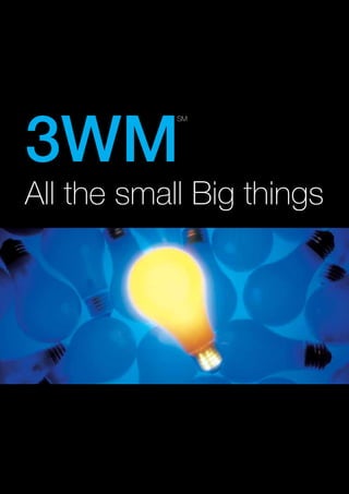 3WM
            SM




All the small Big things
 