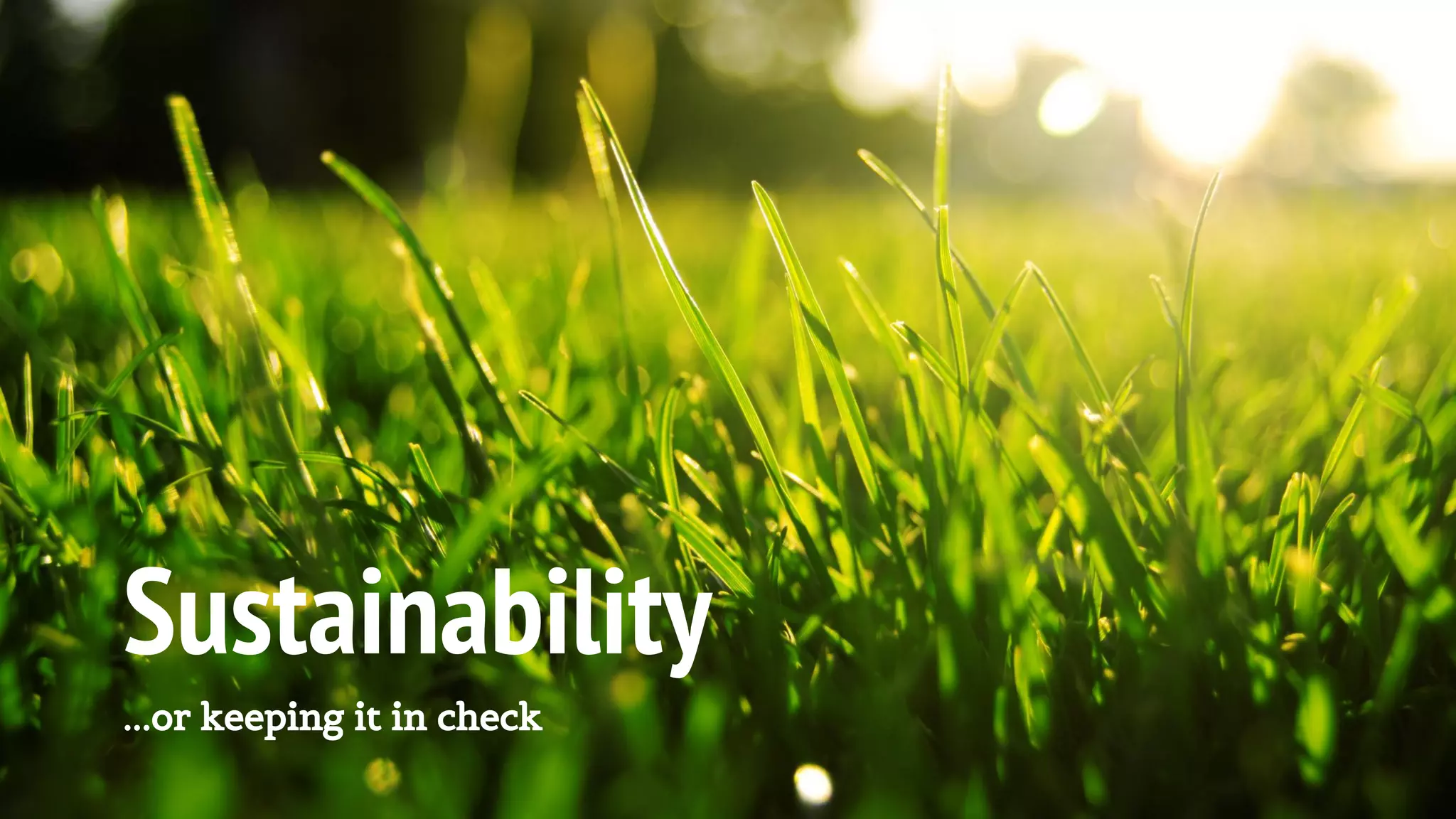 Sustainability
...or keeping it in check
 