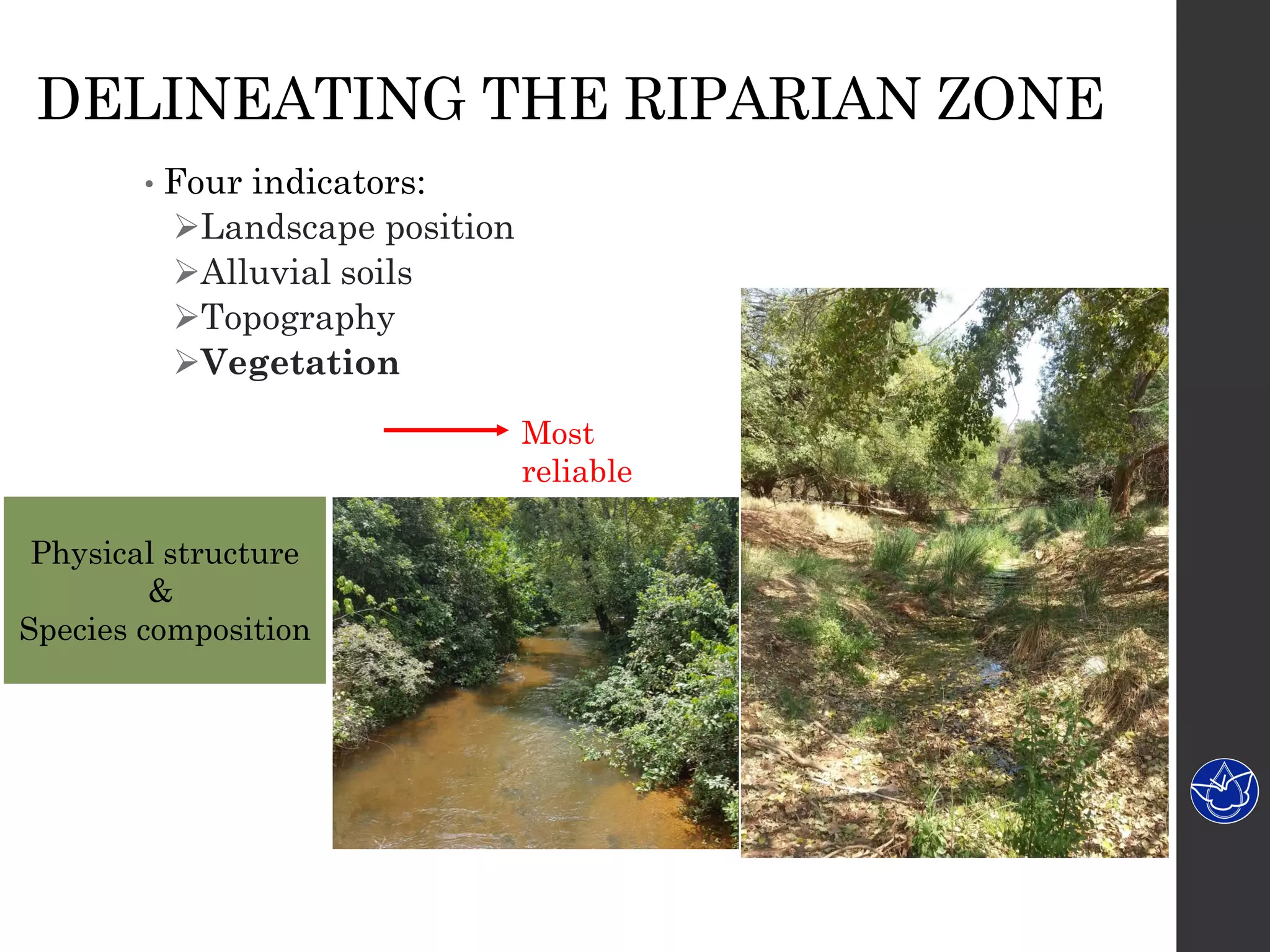 • Four indicators:
Landscape position
Alluvial soils
Topography
Vegetation
Physical structure
&
Species composition
Most
reliable
DELINEATING THE RIPARIAN ZONE
 