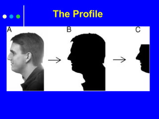 The Profile
 
