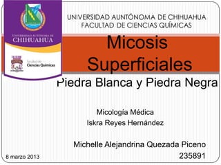 Micología Médica
Iskra Reyes Hernández
Michelle Alejandrina Quezada Piceno
235891
Micosis
Superficiales
Piedra Blanca y Piedra Negra
8 marzo 2013
 