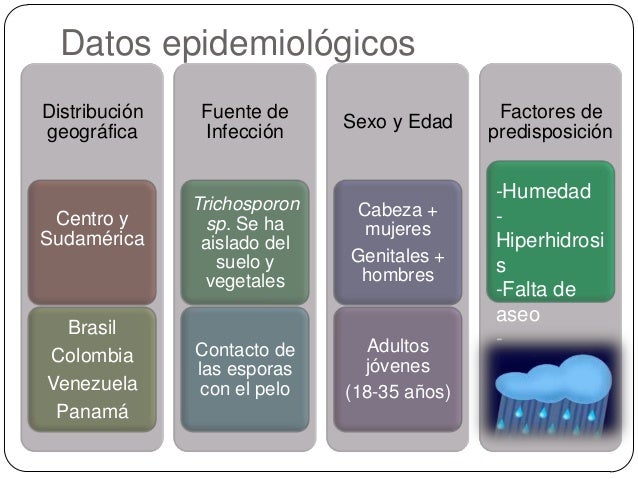 Pelo Bueno Hoy Quiero Hablarles De Uno De Los Temas Que Facebook