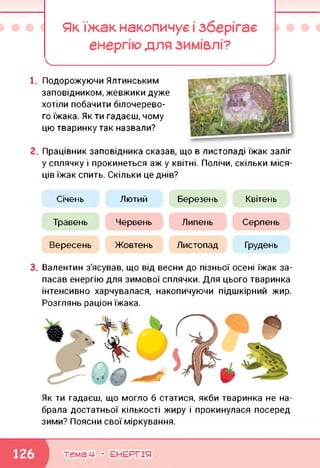 Як їжак накопичує і зберігає
енергію для зимівлі?
____________ _______________)
1. Подорожуючи Ялтинським
заповідником, жевжики дуже
хотіли побачити білочерево-
го їжака. Як ти гадаєш, чому
цю тваринку так назвали?
2. Працівник заповідника сказав, що в листопаді їжак заліг
у сплячку і прокинеться аж у квітні. Полічи, скільки міся­
ців їжак спить. Скільки це днів?
Січень Лютий
Травень
Вересень
Червень
Жовтень
Березень Квітень
Липень Серпень
Листопад Грудень
3. Валентин з'ясував, що від весни до пізньої осені їжак за­
пасав енергію для зимової сплячки. Для цього тваринка
інтенсивно харчувалася, накопичуючи підшкірний жир.
Розглянь раціон їжака.
Як ти гадаєш, що могло б статися, якби тваринка не на­
брала достатньої кількості жиру і прокинулася посеред
зими? Поясни свої міркування.
темам- • ЕНЕРГІЯ
 