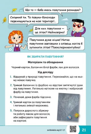 1
Що то — баба якась павутиння розкидає?
р----- —лСмішний ти. То павуки-бокоходи
переміщуються на нові території.
(-------=
л Для них павутиння —
це літак? Неймовірно!
г
ґ
Павутиння дуже міцне! Нитка
' павутиння завтовшки з олівець могла б
зупинити літак! Поекспериментуймо!
У
ЯК ЗБИРАТИ ПАВУТИННЯ?
Матеріали та обладнання
Чорний картон, балончик білої фарби, лак для волосся.
Хід досліду
1. Відшукай у природі павутиння. Переконайся, що на ньо­
му немає павучка.
2. Тримай балончик із фарбою на відстані витягнутої руки
від павутиння. Легенько натисни на кнопку і набризкай
фарбу на павутиння.
3. Почекай, доки фарба підсохне.
4. Тримай картон за павутинням
і легенько знімай мереживо.
5. Попроси дорослого збризну­
ти роботу лаком для волосся,
аби зафіксувати павутиння
на картоні.
svitdovkola.org/371-21 21
 