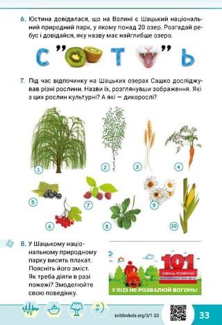 6. Юстина довідалася, що на Волині є Шацький національ­
ний природний парк, у якому понад 20 озер. Розгадай ре­
бус і довідайся, яку назву має найглибше озеро.
7. Під час відпочинку на Шацьких озерах Сашко досліджу­
вав різні рослини. Назви їх, розглянувши зображення. Які
з цих рослин культурні? А які — дикорослі?
!■
8. У Шацькому націо­
нальному природному
парку висить плакат.
Поясніть його зміст.
Як треба діяти в разі
пожежі? Змоделюйте
свою поведінку.
л
У ЛІСІ НЕ РОЗПАЛЮЙ ВОГОНЬ!
СЛУЖБА ПОРЙЇУНКуП
svitdovkola.org/371 -33
1
і 33
 