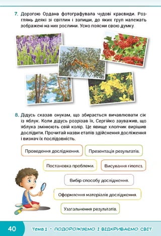 7. Дорогою Ордана фотографувала чудові краєвиди. Роз­
глянь деякі зі світлин і запиши, до яких груп належать
зображені на них рослини. Усно поясни свою думку.
8. Дідусь сказав онукам, що збирається вичавлювати сік
із яблук. Коли дідусь розрізав їх, Сергійко зауважив, що
яблука змінюють свій колір. Це явище хлопчик вирішив
дослідити. Прочитай назви етапів здійснення досліження
і визнач їх послідовність.
Постановка проблеми. Висування гіпотез.
Вибір способу дослідження.
( ~ї
Оформлення матеріалів дослідження.
Узагальнення результатів.
тема 1 • ПОДОРОЖУЄМО І ВІДКРИВАЄМО світ
 