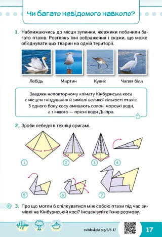 чи багато невідомого навколо?
І_____________________>
1. Наближаючись до місця зупинки, жевжики побачили ба­
гато птахів. Розглянь їхні зображення і скажи, що може
об'єднувати цих тварин на одній території.
я
Мартин Кулик Чапля біла
ґ---------------------------------------------------------------------------------------------------------------------------
Завдяки неповторному клімату Кінбурнська коса
є місцем гніздування й зимівлі великої кількості птахів.
З одного боку косу омивають солоні морські води,
а з іншого — прісні води Дніпра.
ч_________________________ _________________________
2. Зроби лебедя в техніці оригамі.
3. Про що могли б спілкуватися між собою птахи під час зи­
мівлі на Кінбурнській косі? Інсценізуйте їхню розмову.
svitdovkola.Org/3/5-17 17
 