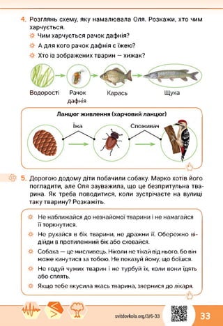 Розглянь схему, яку намалювала Оля. Розкажи, хто чим
харчується.
Чим харчується рачок дафнія?
А для кого рачок дафнія є їжею?
Хто із зображених тварин — хижак?
Водорості Рачок Карась Щука
дафнія
Споживачїжа
Дорогою додому діти побачили собаку. Марко хотів його
погладити, але Оля зауважила, що це безпритульна тва­
рина. Як треба поводитися, коли зустрічаєте на вулиці
таку тварину? Розкажіть.
-#■ Не наближайся до незнайомої тварини і не намагайся
її торкнутися.
Не рухайся в бік тварини, не дражни її. Обережно ві­
дійди в протилежний бік або сховайся.
Собака — це мисливець. Ніколи не тікай від нього, бо він
може кинутися за тобою. Не показуй йому, що боїшся.
Не годуй чужих тварин і не турбуй їх, коли вони їдять
або сплять.
Якщо тебе вкусила якась тварина, звернися до лікаря.
і 33
 