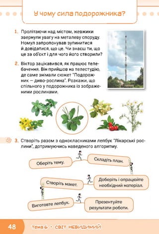 У чому сила подорожника?
Пролітаючи над містом, жевжики
звернули увагу на металеву споруду.
Номул запропонував зупинитися
й довідатися, що це. Чи знаєш ти, що
це за об'єкт і для чого його створили?
Віктор зацікавився, як працює теле­
бачення. Він прийшов на телестудію,
де саме знімали сюжет "Подорож­
ник — диво-рослина". Розкажи, що
спільного у подорожника із зображе­
ними рослинами.
*ї
3. Створіть разом з однокласниками лепбук "Лікарські рос­
лини", дотримуючись наведеного алгоритму.
тема 6» • СВІТ НЕВИДИМИЙ
 