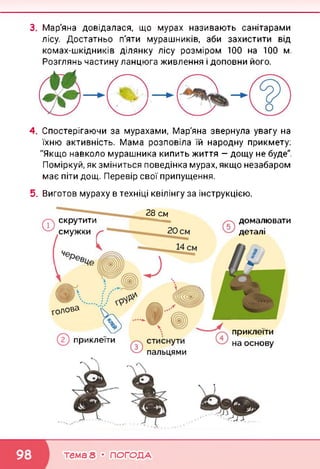 3. Мар'яна довідалася, що мурах називають санітарами
лісу. Достатньо п'яти мурашників, аби захистити від
комах-шкідників ділянку лісу розміром 100 на 100 м,
Розглянь частину ланцюга живлення і доповни його.
4. Спостерігаючи за мурахами, Мар'яна звернула увагу на
їхню активність. Мама розповіла їй народну прикмету:
"Якщо навколо мурашника кипить життя — дощу не буде",
Поміркуй, як зміниться поведінка мурах, якщо незабаром
має піти дощ. Перевір свої припущення.
5. Виготов мураху в техніці квілінгу за інструкцією.
приклеїти
домалювати
деталі
скрутити
смужки
28 см
голова
приклеїти
на основу
тема 8 • ПОГОДА
 