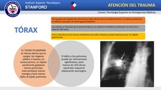 ATENCIÓN DEL TRAUMA
Carrera: Tecnología Superior en Emergencias Médicas
TÓRAX
Tres grupos principales de estructuras están dentro de la cavidad torácica: el sistema pulmonar,
el sistema vascular y el tracto gastrointestinal.
Los huesos y músculos de la pared torácica y la columna vertebral constituyen la estructura
exterior del tórax.
Una o más de las estructuras anatómicas de estos sistemas puede lesionarse por un objeto
penetrante.
EL TEJIDO PULMONAR
es menos denso que la
sangre, los órganos
sólidos o huesos; en
consecuencia, un objeto
penetrante golpeará
menos partículas,
intercambiará menos
energía y hará menos
daño al tejido pulmonar.
El daño a los pulmones
puede ser clínicamente
significativo, pero
menos de 15% de los
pacientes requerirá
exploración quirúrgica.
 