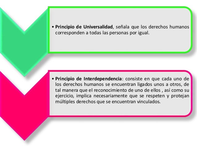 Comisión nacional de derechos humanos resumida