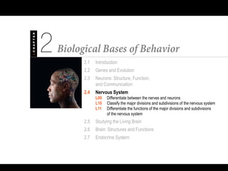 2.1 Introduction
2.2 Genes and Evolution
2.3 Neurons: Structure, Function,
and Communication
2.4 Nervous System
L09 Differentiate between the nerves and neurons
L10 Classify the major divisions and subdivisions of the nervous system
L11 Differentiate the functions of the major divisions and subdivisions
of the nervous system
2.5 Studying the Living Brain
2.6 Brain: Structures and Functions
2.7 Endocrine System
 