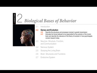 2.1 Introduction
2.2 Genes and Evolution
L02 Describe the structures and processes involved in genetic transmission
L03 Articulate the forces believed to be responsible for the evolution of the human
brain and describe the relevance of the theory of evolution in how psychologists
conduct research today
2.3 Neurons: Structure, Function,
and Communication
2.4 Nervous System
2.5 Studying the Living Brain
2.6 Brain: Structures and Functions
2.7 Endocrine System
 