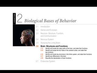 2.1 Introduction
2.2 Genes and Evolution
2.3 Neurons: Structure, Function,
and Communication
2.4 Nervous System
2.5 Studying the Living Brain
2.6 Brain: Structures and Functions
L14 Identify and locate the major parts of the brain, and state their functions
L15 Identify and locate the four lobes in the cerebral cortex, and state their
key functions
L16 Identify and locate key structures in the limbic system, and state their functions
L17 Identify sex differences in the brain
L18 Describe the lateralization of brain functions
2.7 Endocrine System
 