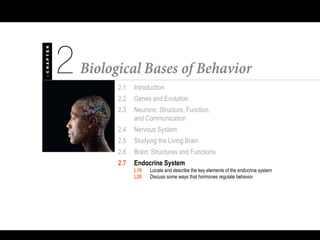 2.1 Introduction
2.2 Genes and Evolution
2.3 Neurons: Structure, Function,
and Communication
2.4 Nervous System
2.5 Studying the Living Brain
2.6 Brain: Structures and Functions
2.7 Endocrine System
L19 Locate and describe the key elements of the endocrine system
L20 Discuss some ways that hormones regulate behavior
 
