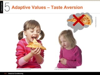 Adaptive Values – Taste Aversion
5.3 Classical Conditioning
© Kuttelvaserova/Shutterstock.com © John McLaird/Shutterstock.com
©Kesu/Shutterstock.com
 
