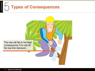 Types of Consequences
5.4 Operant Conditioning
This man will fall on his head
(consequence) if he cuts off
the tree limb (behavior).
 