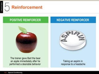The trainer gave Bart the bear
an apple immediately after he
performed a desirable behavior
Taking an aspirin in
response to a headache
Reinforcement
5.4 Operant Conditioning
POSITIVE REINFORCER NEGATIVE REINFORCER
 