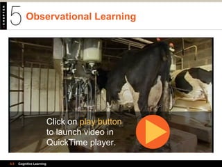 Observational Learning
5.5 Cognitive Learning
Click on play button
to launch video in
QuickTime player.
 