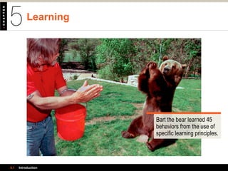 Learning
5.1 Introduction
Bart the bear learned 45
behaviors from the use of
specific learning principles.
 