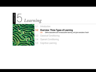 5.1 Introduction
5.2 Overview: Three Types of Learning
L02 Define associative and nonassociative learning, and give examples of each
5.3 Classical Conditioning
5.4 Operant Conditioning
5.5 Cognitive Learning
 