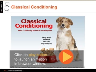 Classical Conditioning
Click on play button
to launch animation
in browser window.
NOTE: This is an interactive Flash animation, not a movie that just plays. You might get a security warning when you try to run it.
5.3 Classical Conditioning
 