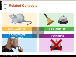GENERALIZATION
Related Concepts
5.3 Classical Conditioning
DISCRIMINATION
EXTINCTION
SPONTANEOUS
RECOVERY
© Ilya Andriyanov/Shutterstock.com
 