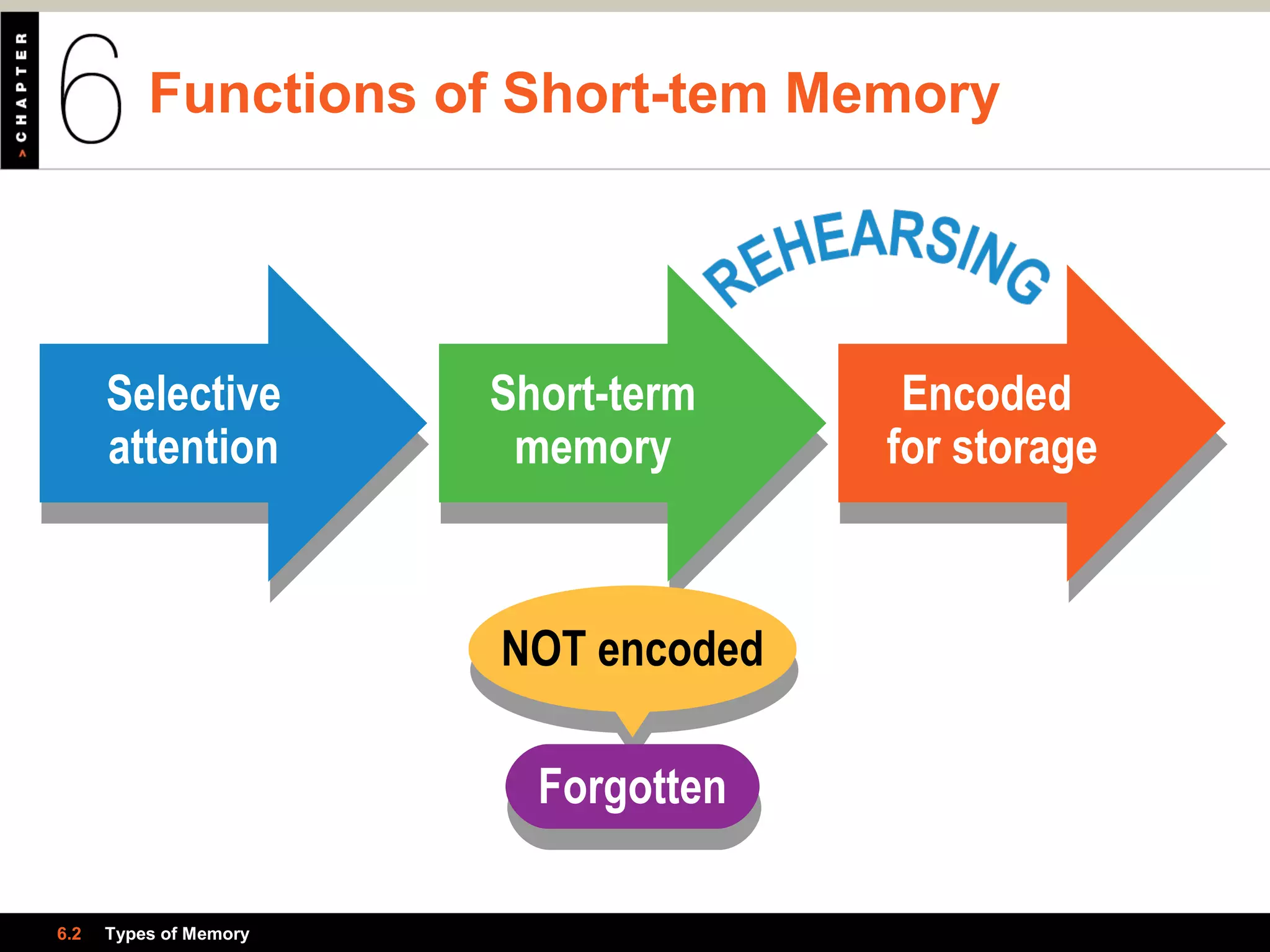 Functions of Short-tem Memory
6.2 Types of Memory
Encoded
for storage
Encoded
for storage
Selective
attention
Selective
attention
Short-term
memory
Short-term
memory
NOT encodedNOT encoded
ForgottenForgotten
 